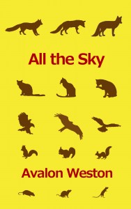 all the sky